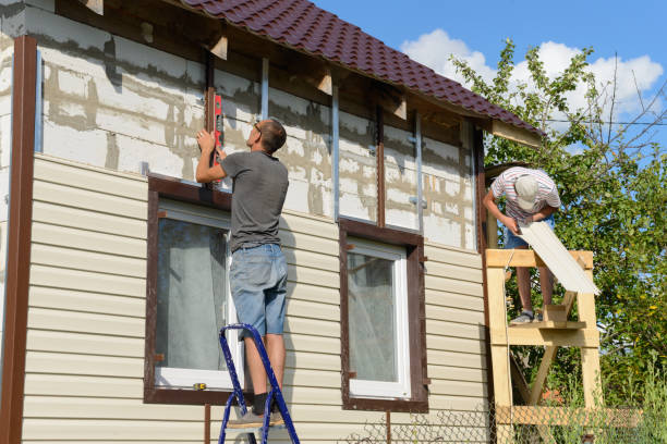 Best Vinyl Siding Installation  in Osage, IA