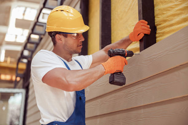 Best Custom Siding Design  in Osage, IA